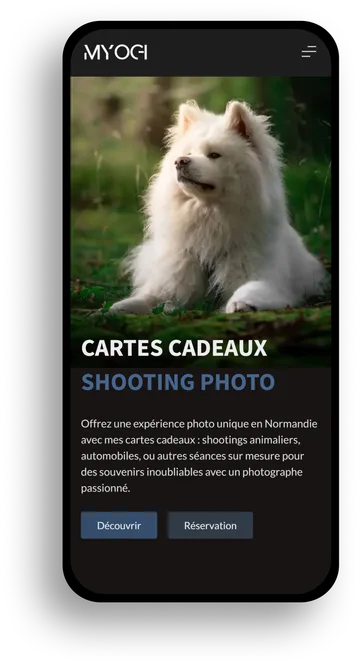 Site de Myogi affiché sur un téléphone