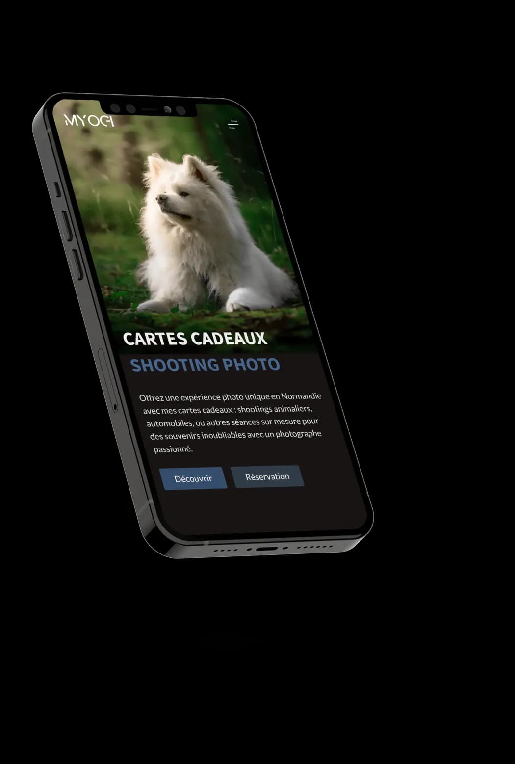 Mockup d'un site vitrine développé par Alexis Pennel.