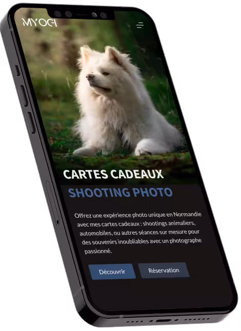 Mockup 1