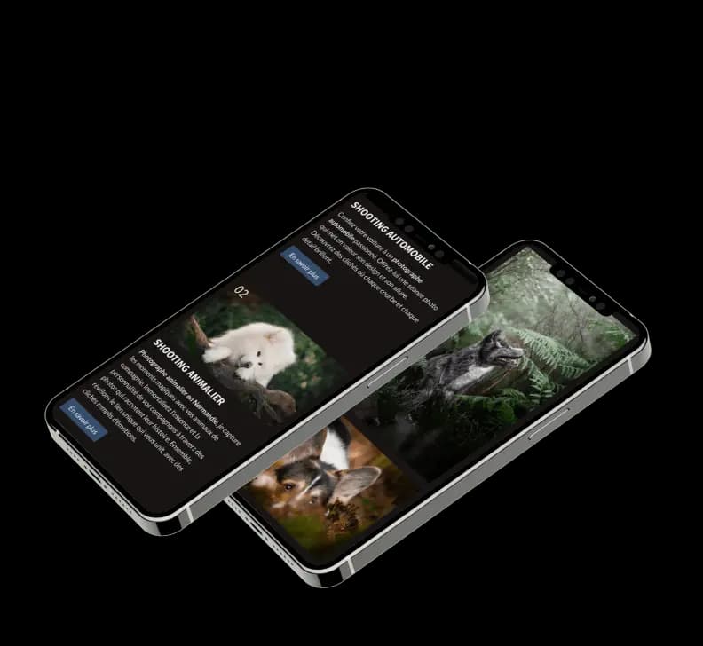 Photo d'un site vitrine réalisé par Alexis Pennel